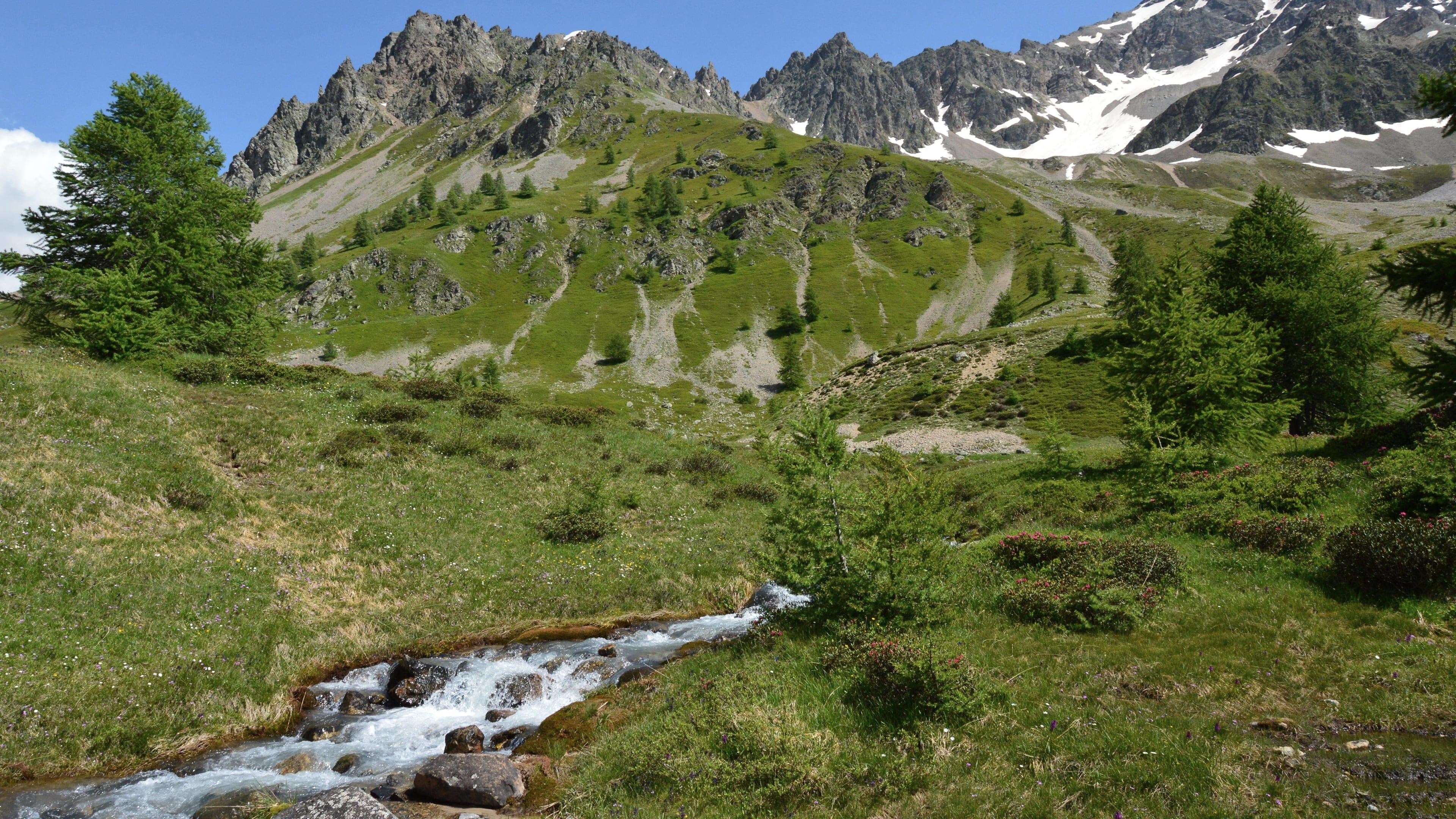 Ein Bach führt durch grüne Almhänge auf Felsgipfel zu
